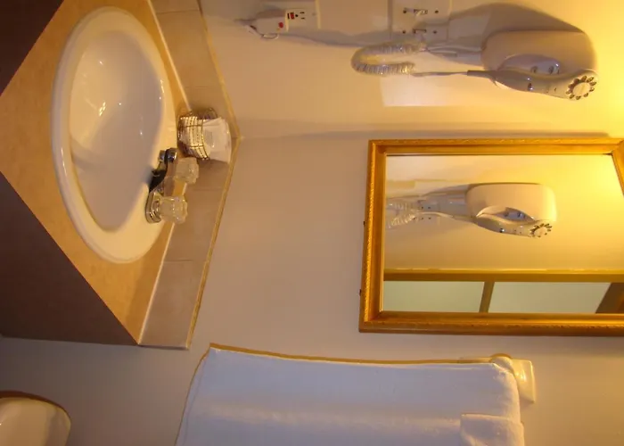 Budget Single Room