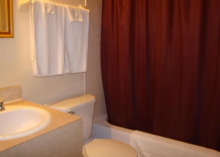 Budget Single Room